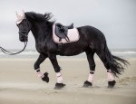 Czaprak HKM Cavallino Marino Copper Kiss