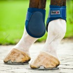 Ochraniacze Horze Fetlock ty³