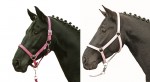 Kantar - HKM Stars Softice - miêkko podszyty